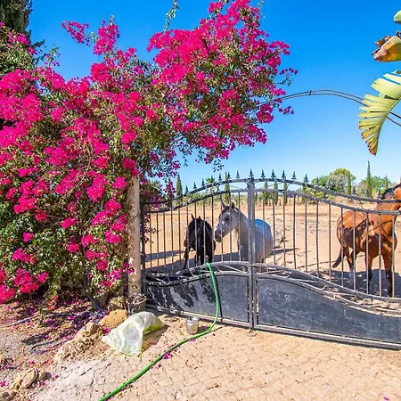 Yoba Horse Farm - Charming 3-bedroom Villa Carvoeiro (Lagoa)