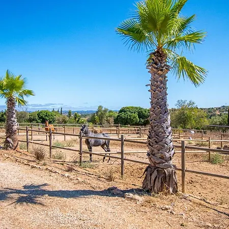 Villa Yoba Horse Farm - Charming 3-bedroom